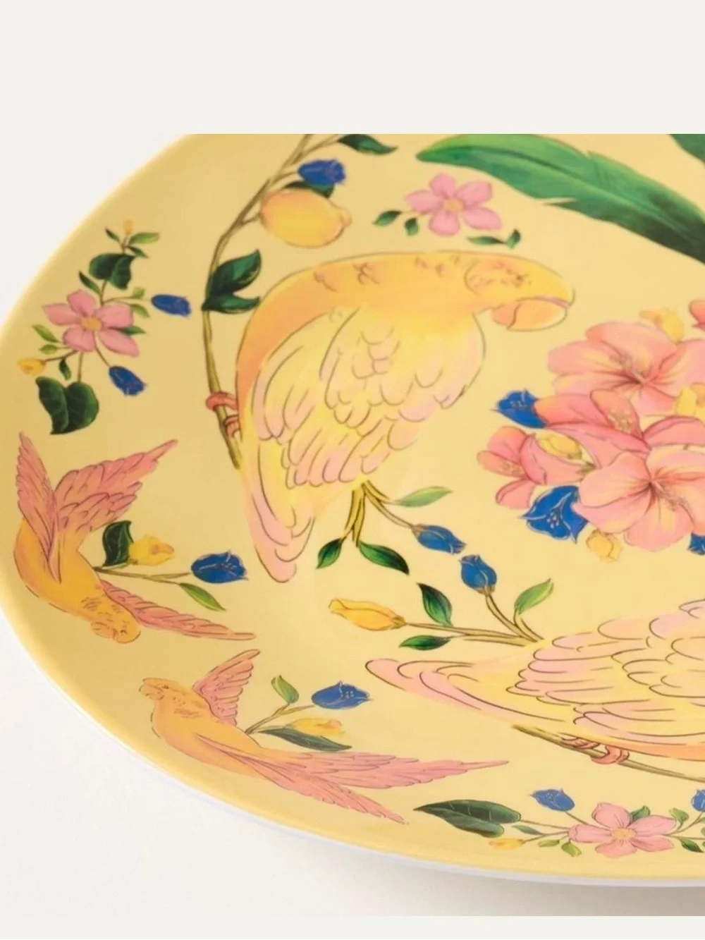 NWT Farm Rio × Anthropologie Melamine Oval Platter